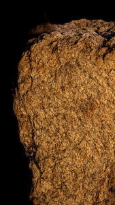 PEAT FOR ART & DESIGN / especially dry and ready for the challenges
