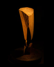 Load image into Gallery viewer, PEAT FOR ART &amp; DESIGN / especially dry and ready for the challenges