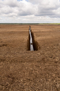 FORMED AND POLISHED PEAT / it's already is artwork
