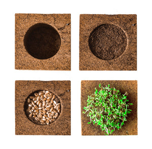 PEAT CUBE / the first