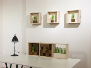 PEAT CUBE / the first