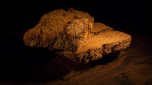 Load image into Gallery viewer, THE BOOK OF PEAT #1 / to learn secrets of the peatland